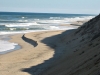 wellfleet11