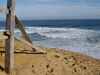 wellfleet19